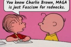 20260919-maga-fascism-for-rednecks