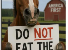 20260919-trump-beef
