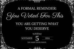 20260920-you-voted-for-this