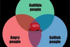 20260922-maga-venn