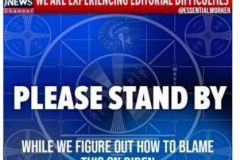 fox-please-standby