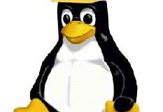 tux-hard-hat