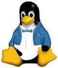 tux-ibm-partner-worls-penguin