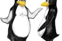tux-penguin-group
