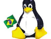 tux-pinguim-br