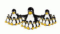 tux-topcat