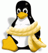 tux-vnunet