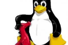 tux-welsh-dragon