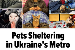 20220305-pets-metro