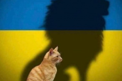 20220306-lion-cat