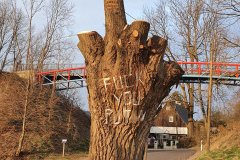20220401-putin-tree