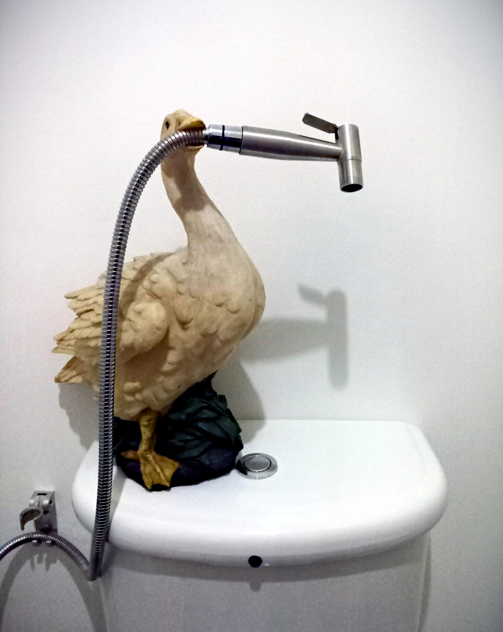 Toilet Goose holding stainless steel shattaf.