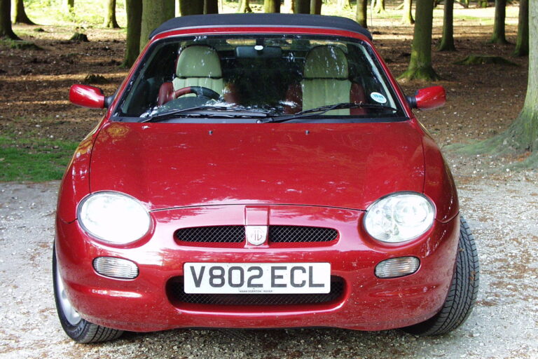 MGF in the new Forest