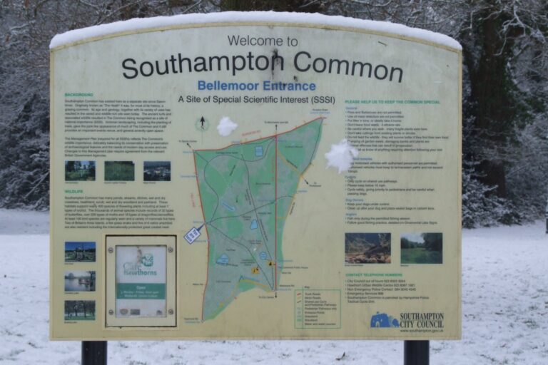 Southampton Common in the Snow