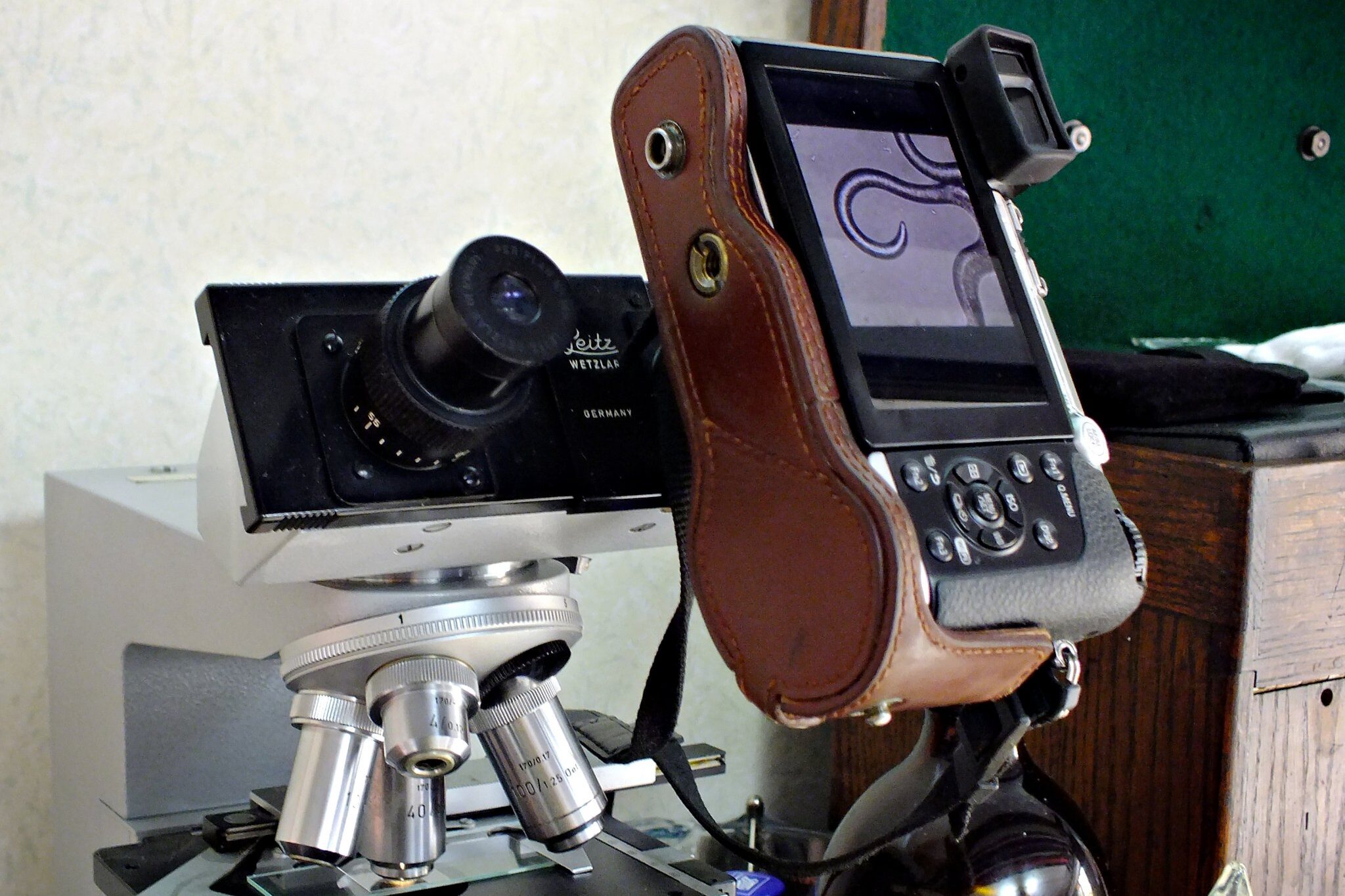 Lumix DMC-GX7 camera connected via eyepiece to Leitz Wetzlar stereo microscope