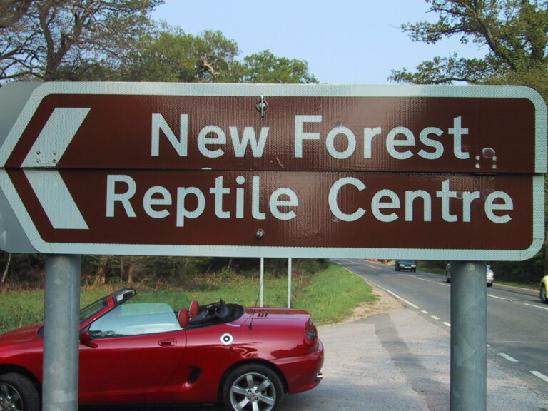 NEW MGF outside the Reptile Centre