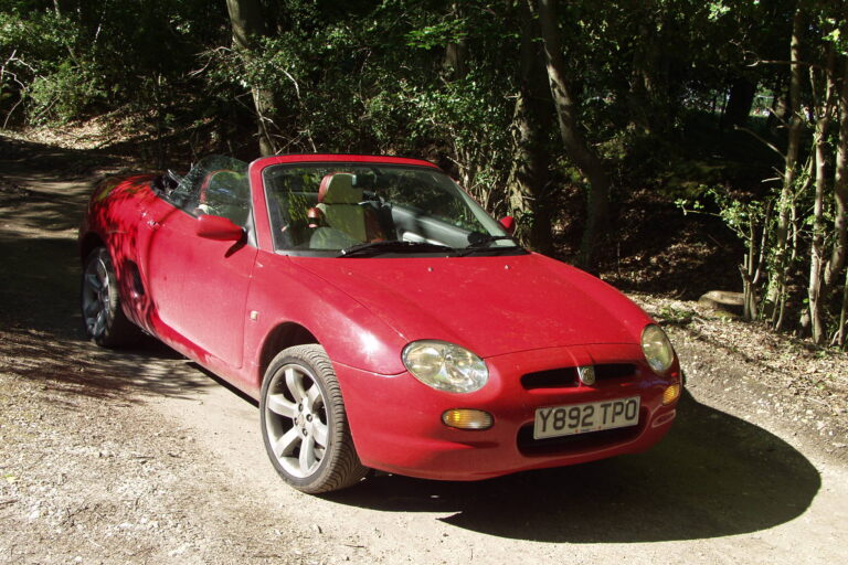 New Forest, Furzey and Rufus Stone in MGF