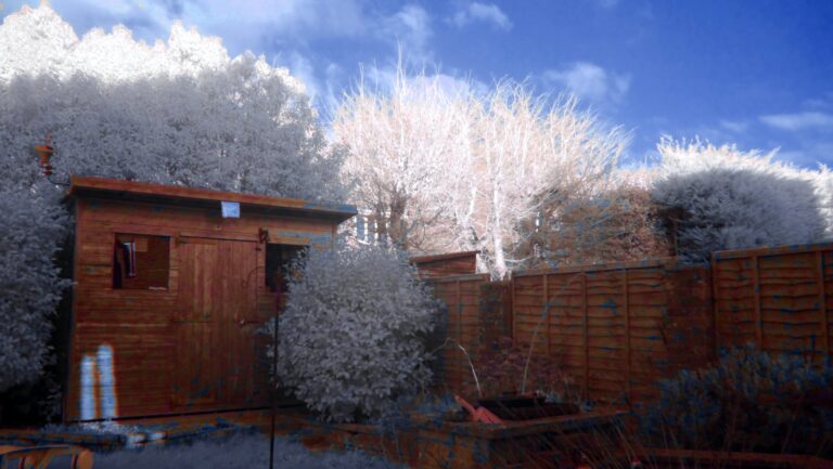 More infrared photography