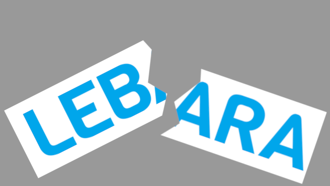 Lebara, what a con
