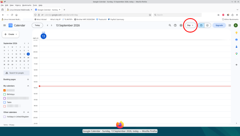 How to make Google Calendar open in month a page view